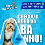 DUDA BANHO E TOSA